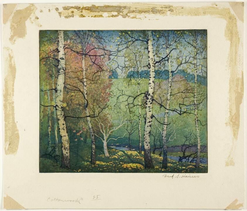 Cottonwoods