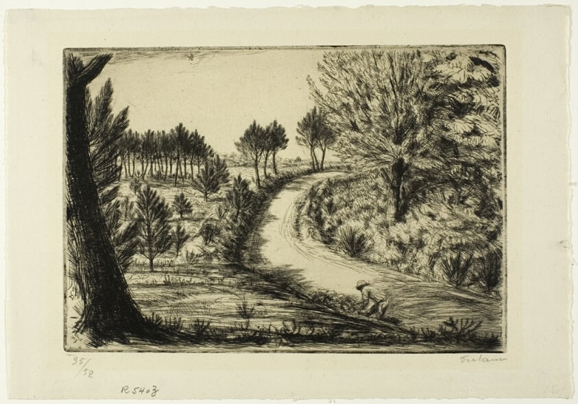 The Chenaie Road