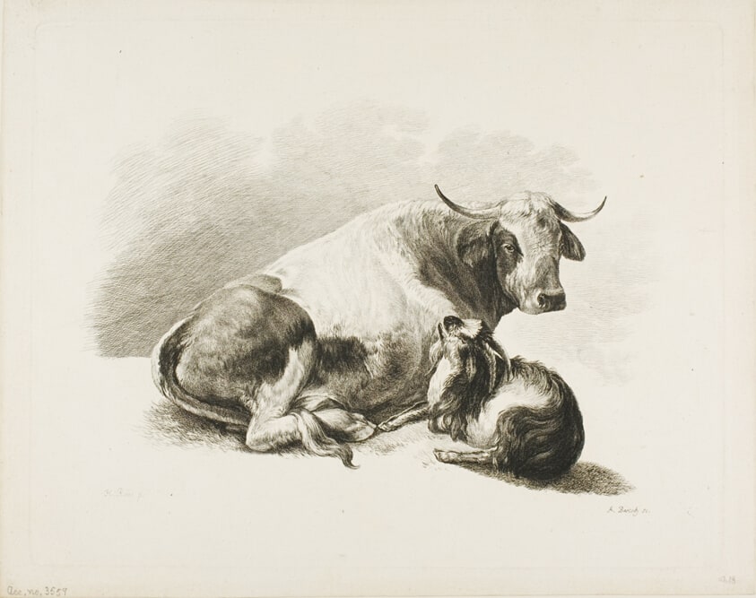 Animal Piece