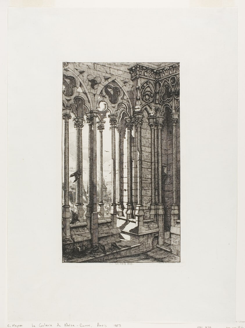 The Gallery of Notre-Dame, Paris
