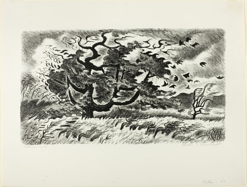 Autumn Wind