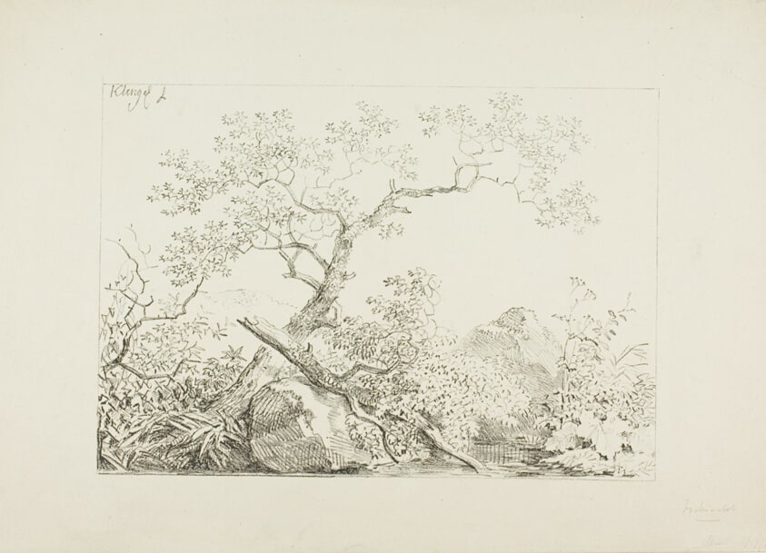 Trees and Rocks by Water