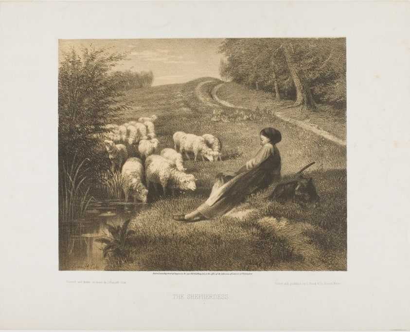 The Shepherdess