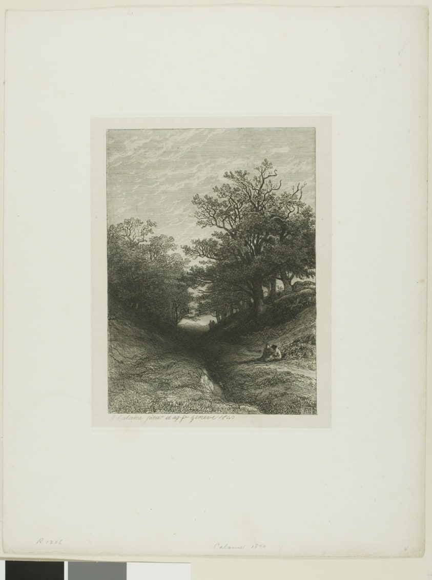 Alpine Landscape