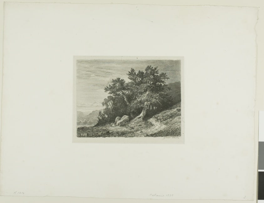 Alpine Landscape