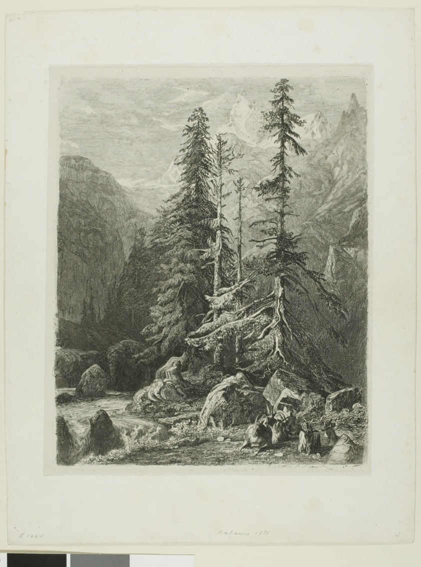 Alpine Landscape