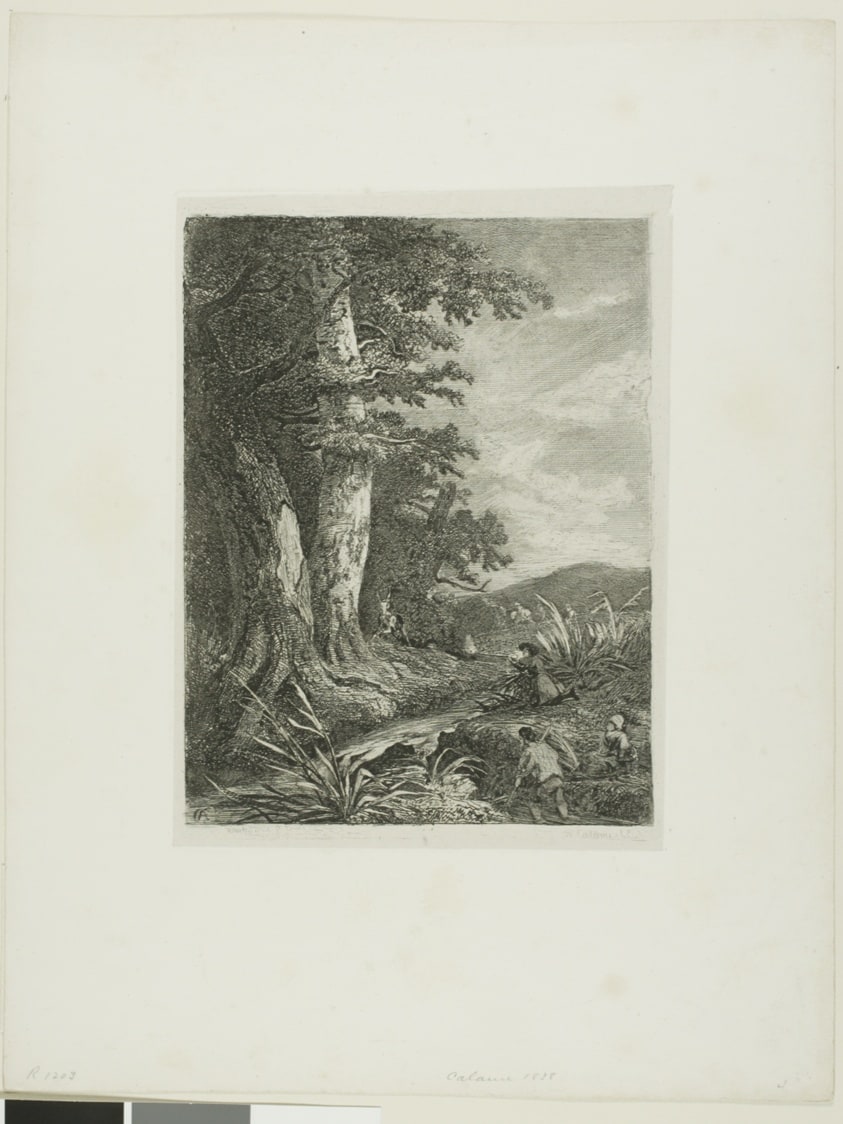 Alpine Landscape
