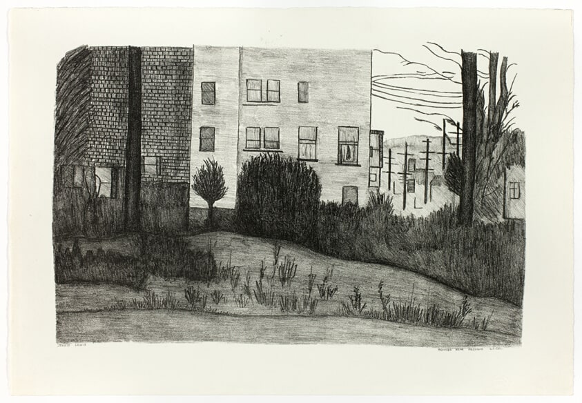 Houses Near Presidio