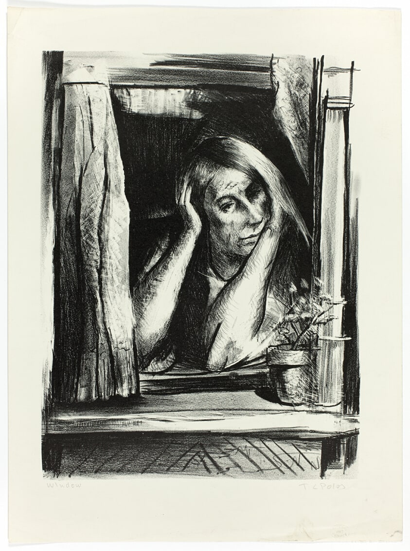 Window