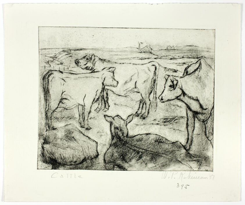 Cattle