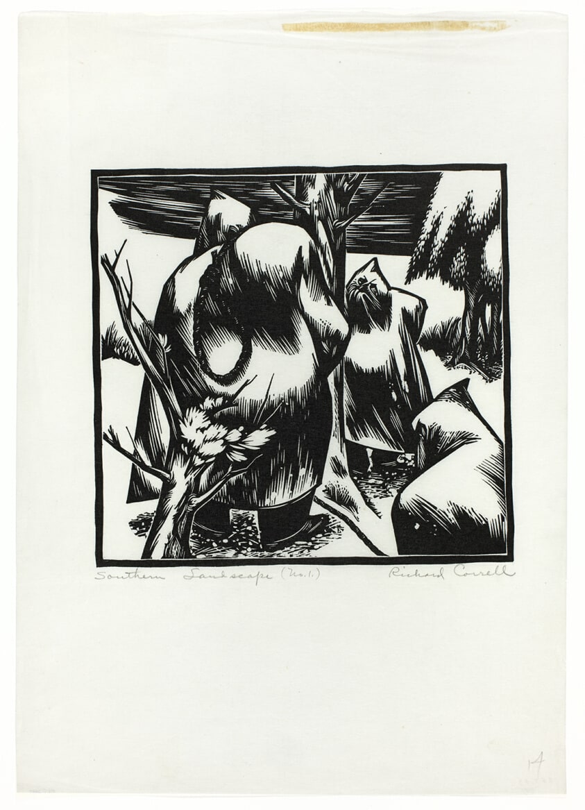 Southern Landscape (No.1)