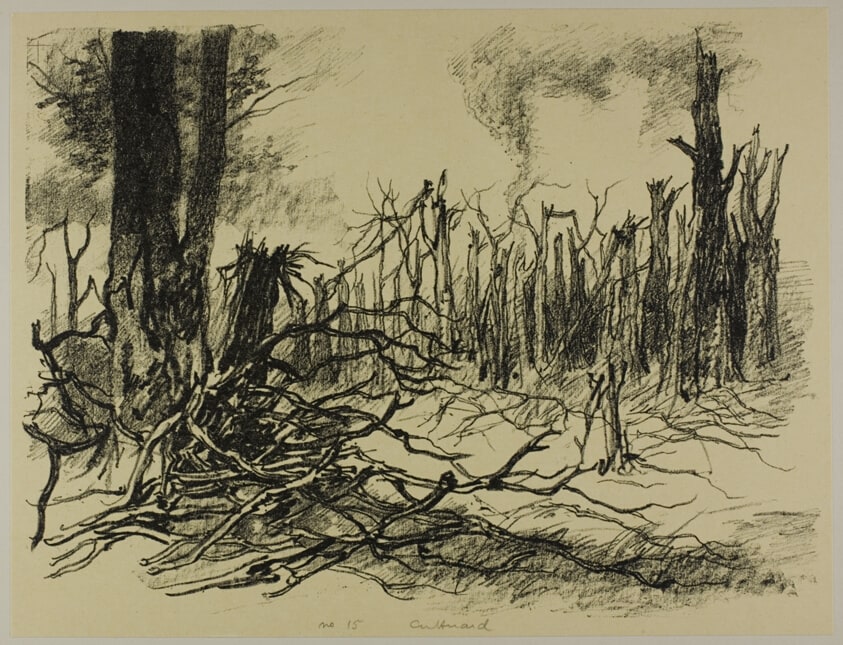 Forest Destroyed by Artillery