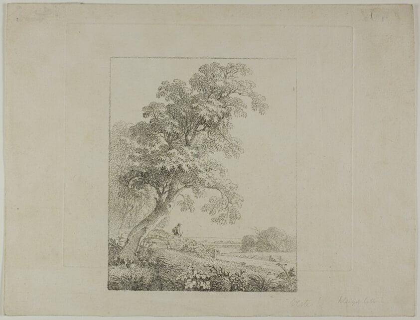 Landscape with a Large Tree