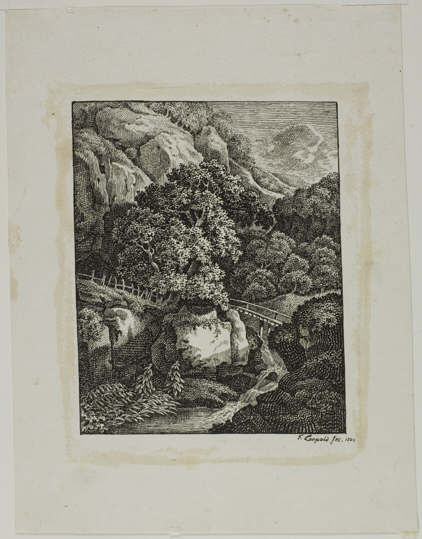 Wooded Mountain Landscape with a Small Waterfall and Pathway