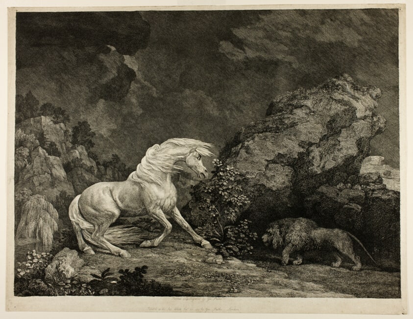 A Horse Affrighted by a Lion