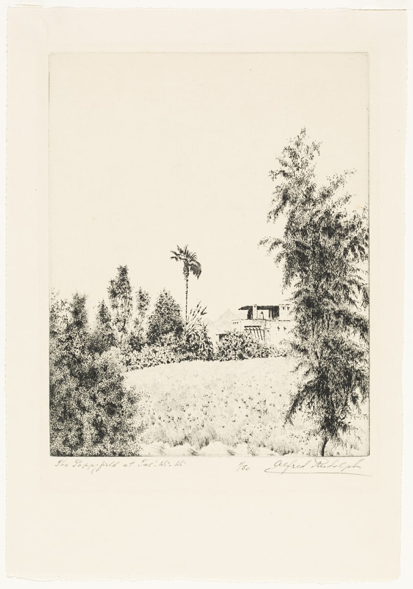The Poppyfield