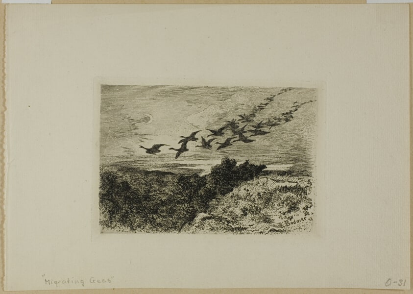 Flying Geese