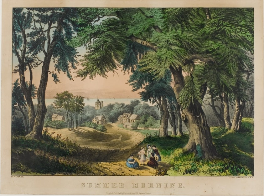 Summer Morning