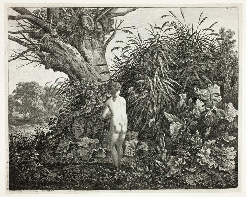 Nymph in a Marshy Woodland
