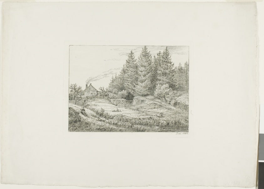 Farmhouse in an Evergreen Forest