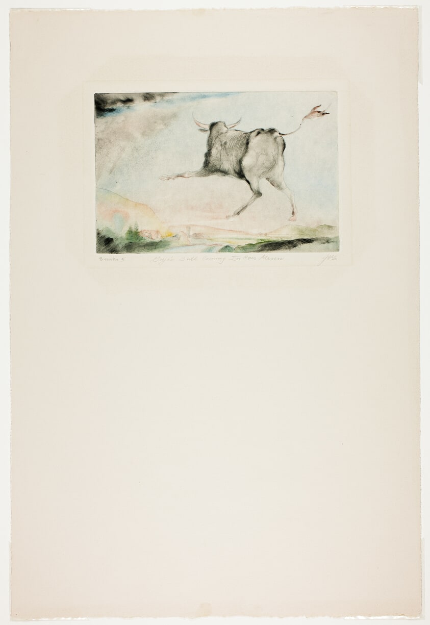 Goya's Bull Coming in Over Marin