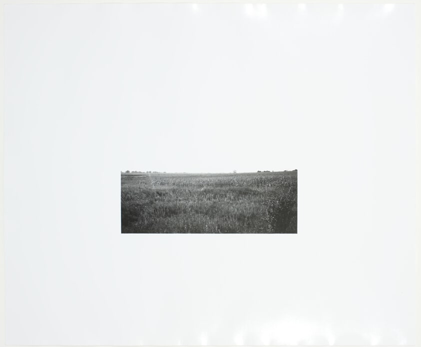 Untitled (I-94 Cornfield)