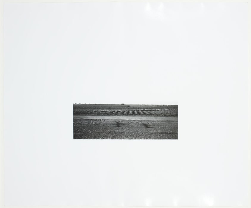 Untitled (Field and Shadow)