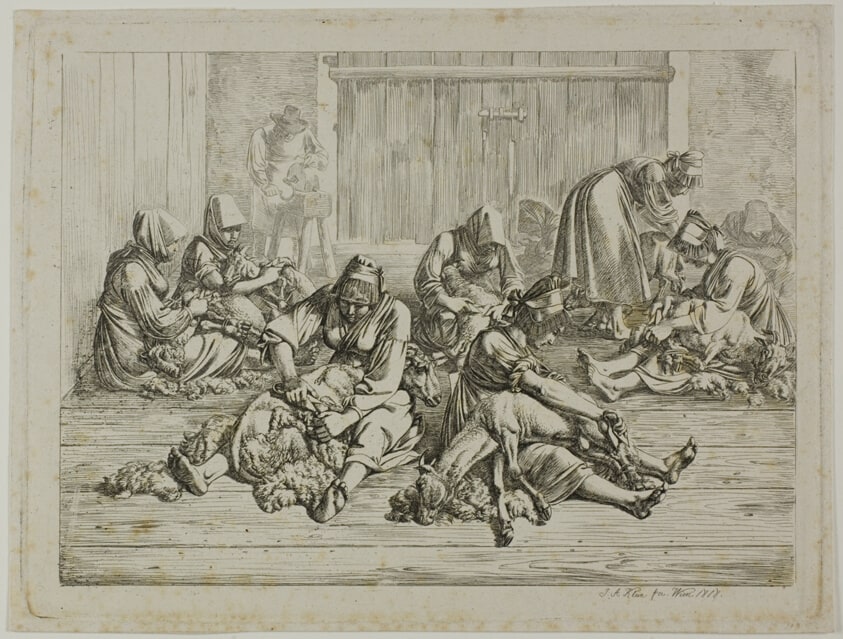 Sheepshearing