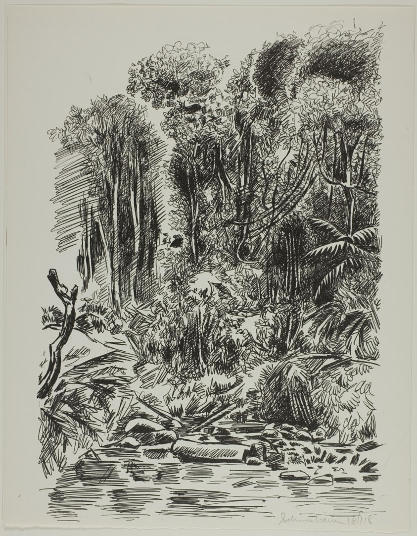 Jungle