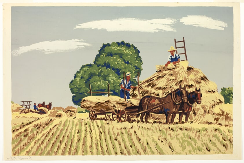 Wheatfield Harvest