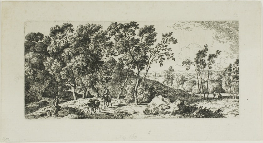 The Donkey Driver