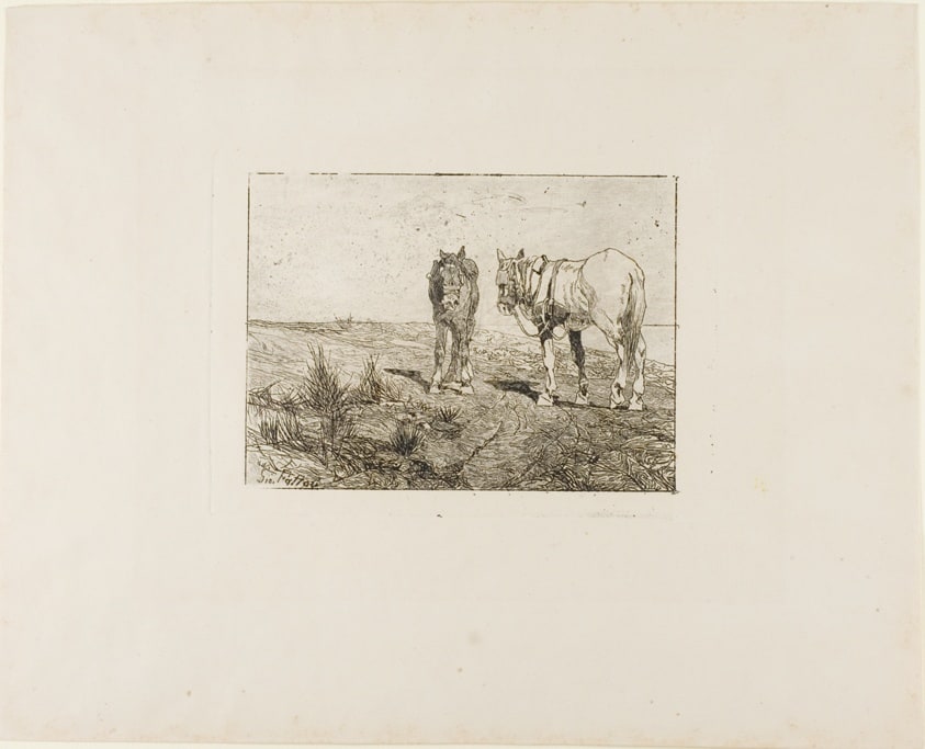 Horses' Rest