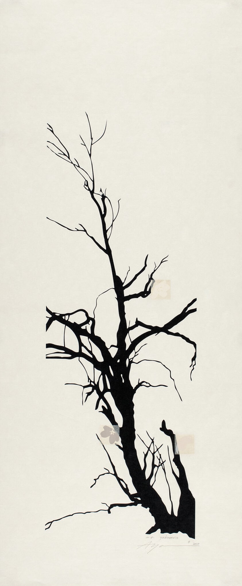 Yedoensis: Tree-B (artist’s proof)