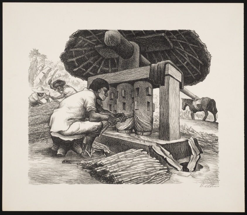 Grinding Sugar Cane (Cuetzalan, State of Puebla), from Mexican People