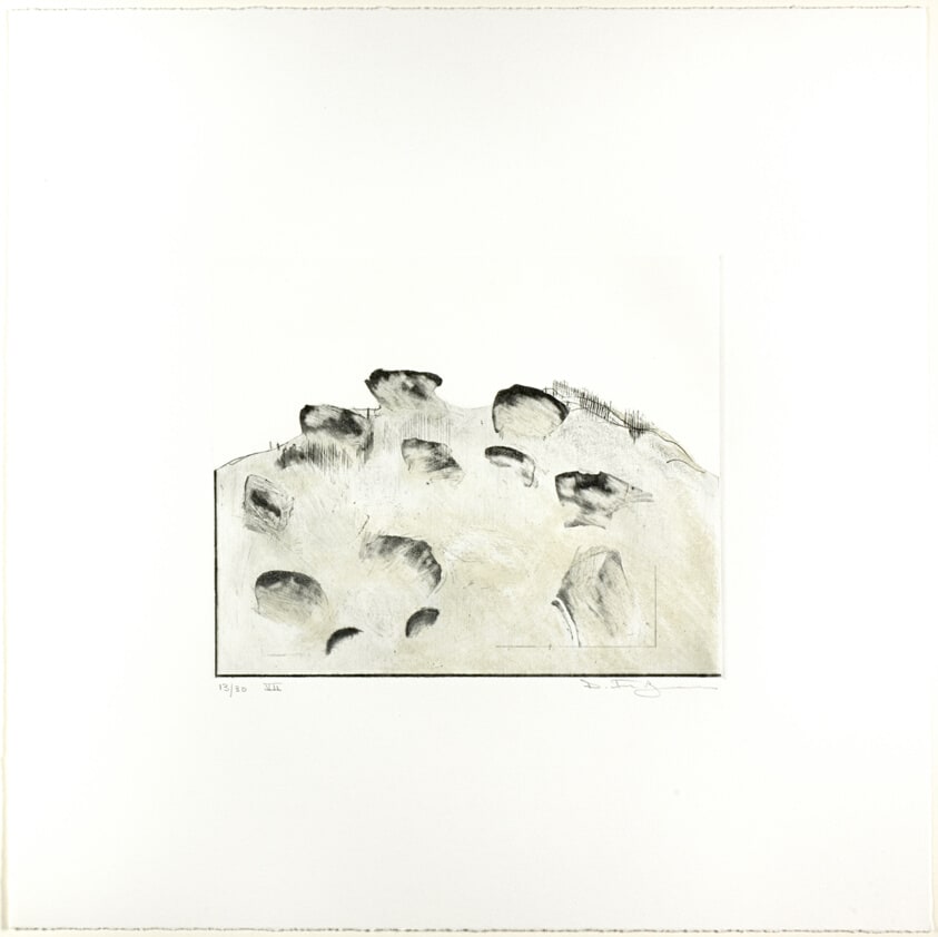 Plate Seven, from In The Morning