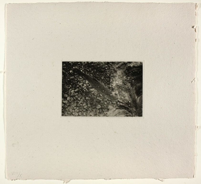 Plate, from Rainbow Suite