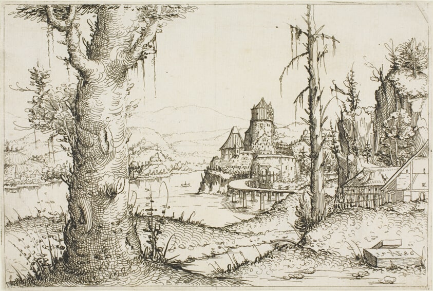 River Landscape with Large Tree in Foreground