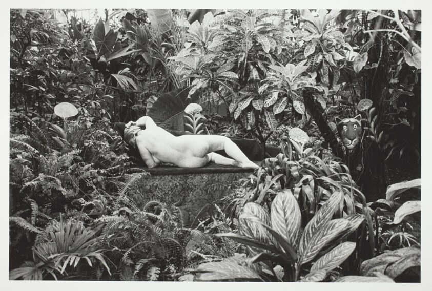 Hommage au Douanier Rousseau, Paris