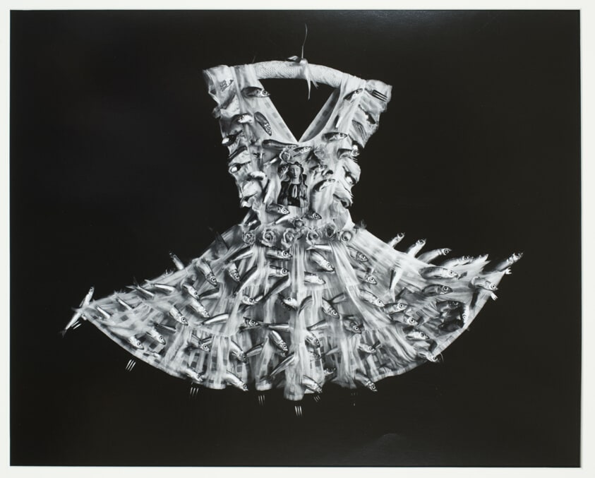 Apron of Sardines