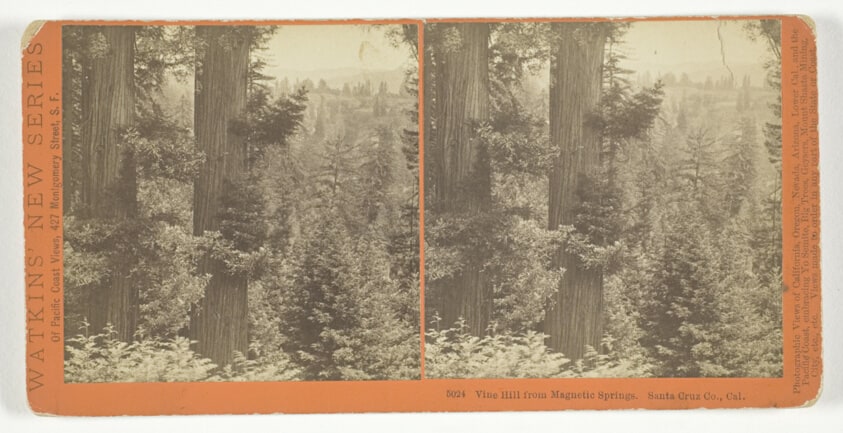 Vine Hill from Magnetic Springs. Santa Cruz Co., Cal. , No. 5024 from the series "Watkins' New Series"