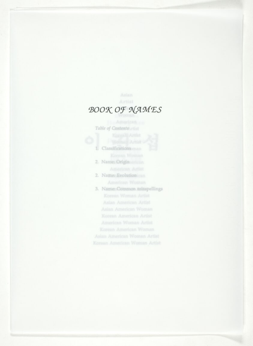 Book of Names, from the portfolio "1991–1992 Graduate/Faculty Photography Portfolio, School of the Art Institute of Chicago"