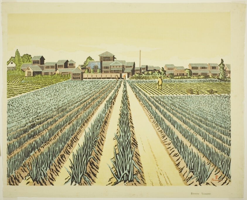 Field