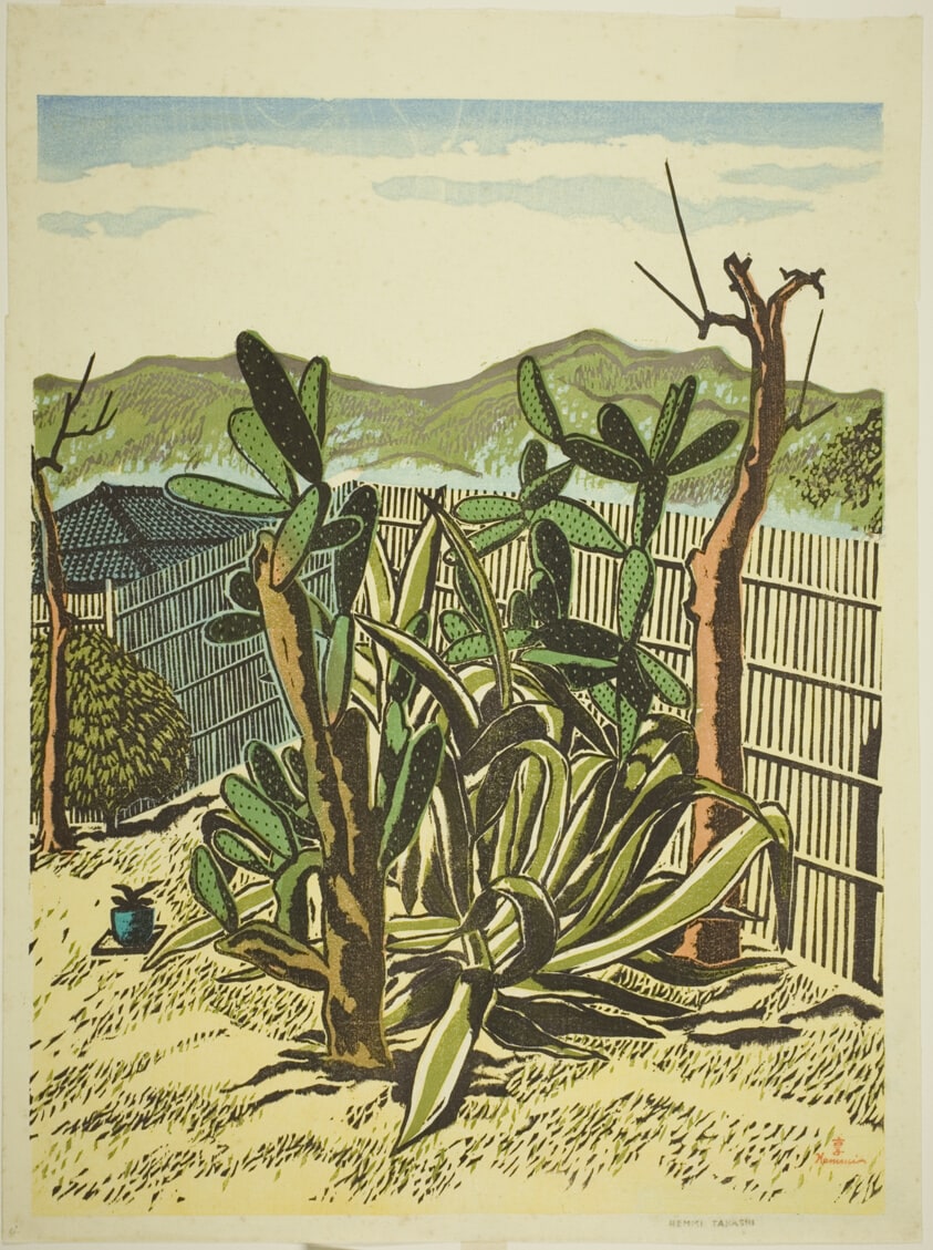 Cactus