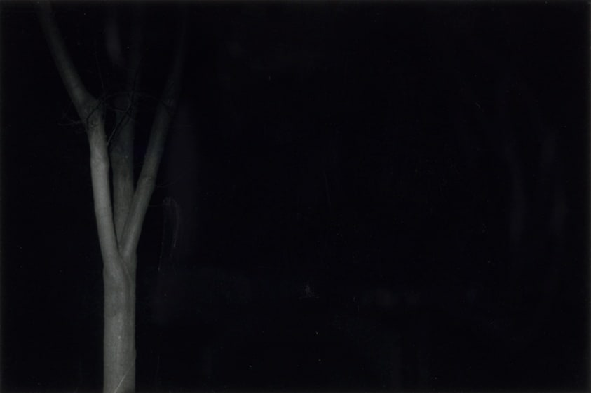 Souvenir, from Erased Lynchings Series I