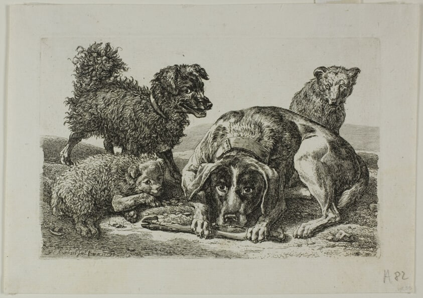 Four Dogs, from Die Zweite Thierfolge