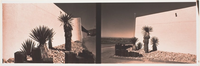 S.W. Palmscape, from the series "Pink Stuff"