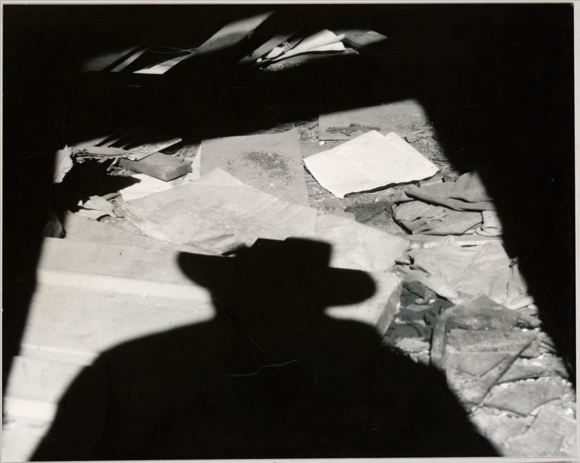 Self-Portrait