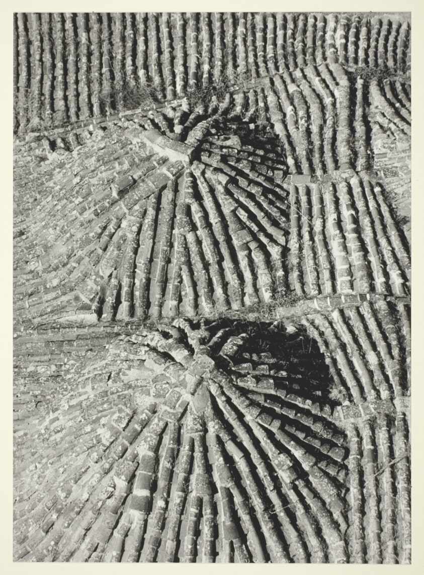 Rooftop Tiles