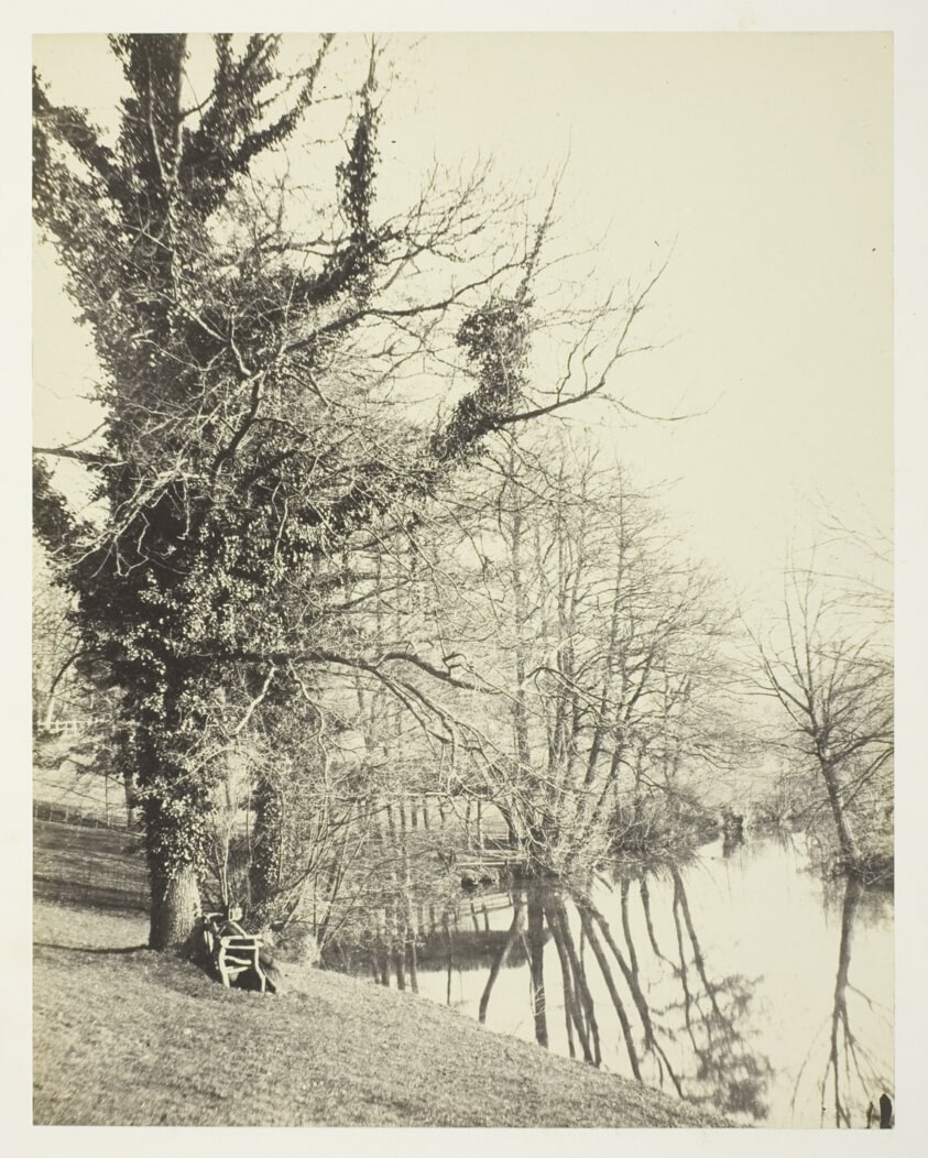 On the Mole