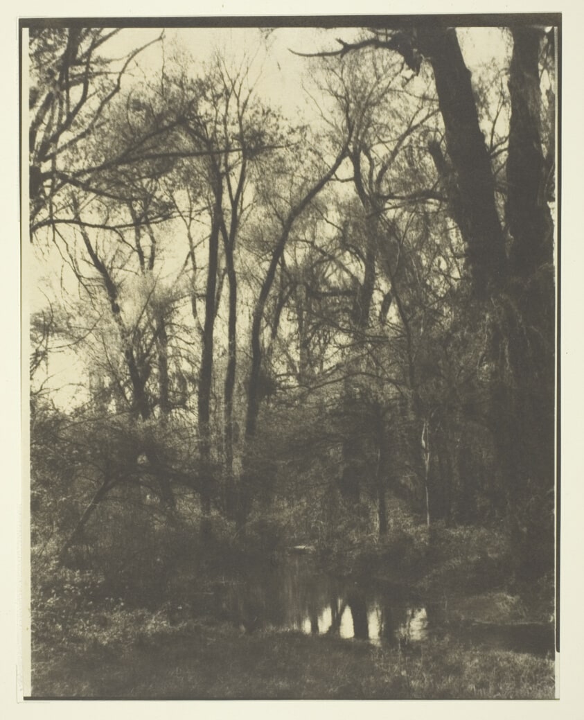 Arboretum, Lisle, Illinois